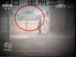 寧波學(xué)霸的一次出國邂逅,卻將自己變成了......